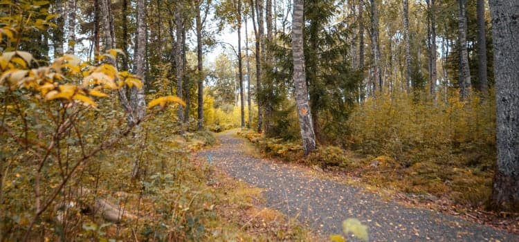 Vy över ett motionsspår i Väring