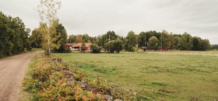 Ett fält med en grusväg och ett hus i fjärran