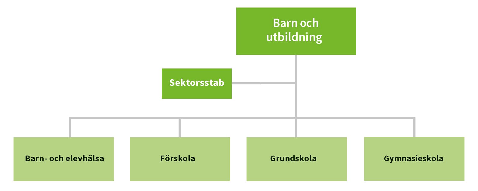 Schema över sektor barn och utbildnings organisation