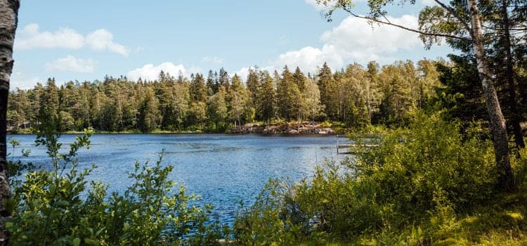 Vy över Hållsdammen på Billingen i Skövde