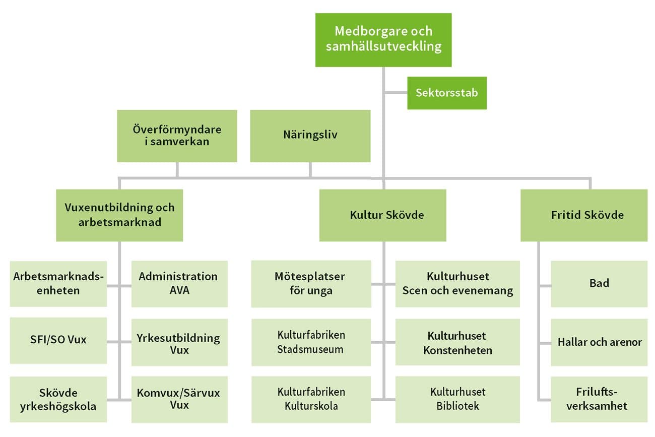 Schema över sektor medborgare och samhällsutveckligs organisation