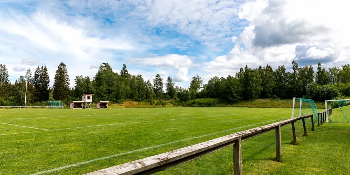 En träbänk som sitter på toppen av ett grönskande fält