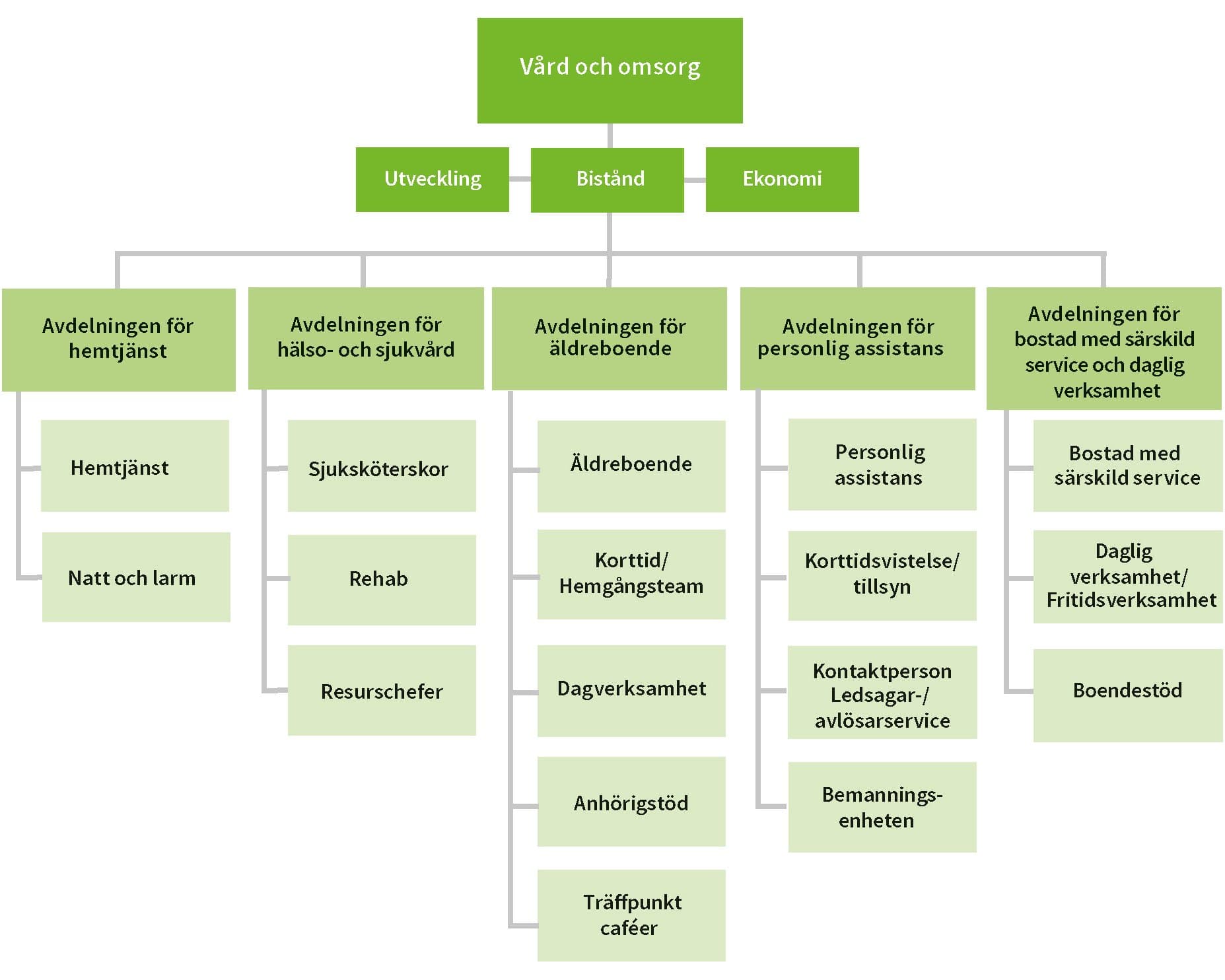 Schema över sektor vård och omsorgs organisation