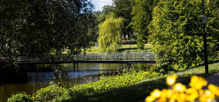 Vy över brygga i Boulognerskogen i Skövde