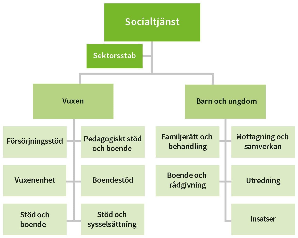 Schema över sektor socialtjänsts organisation